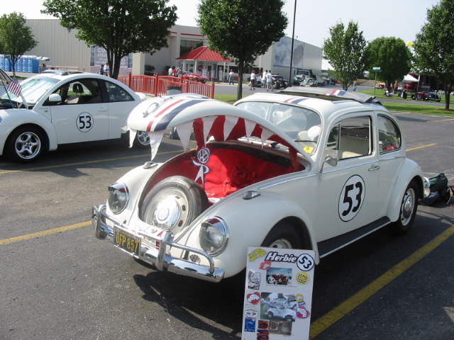 Copy of IMG_8365.JPG